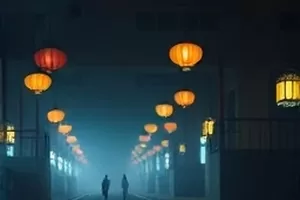 稻田水位与插秧节气对照的航拍画面